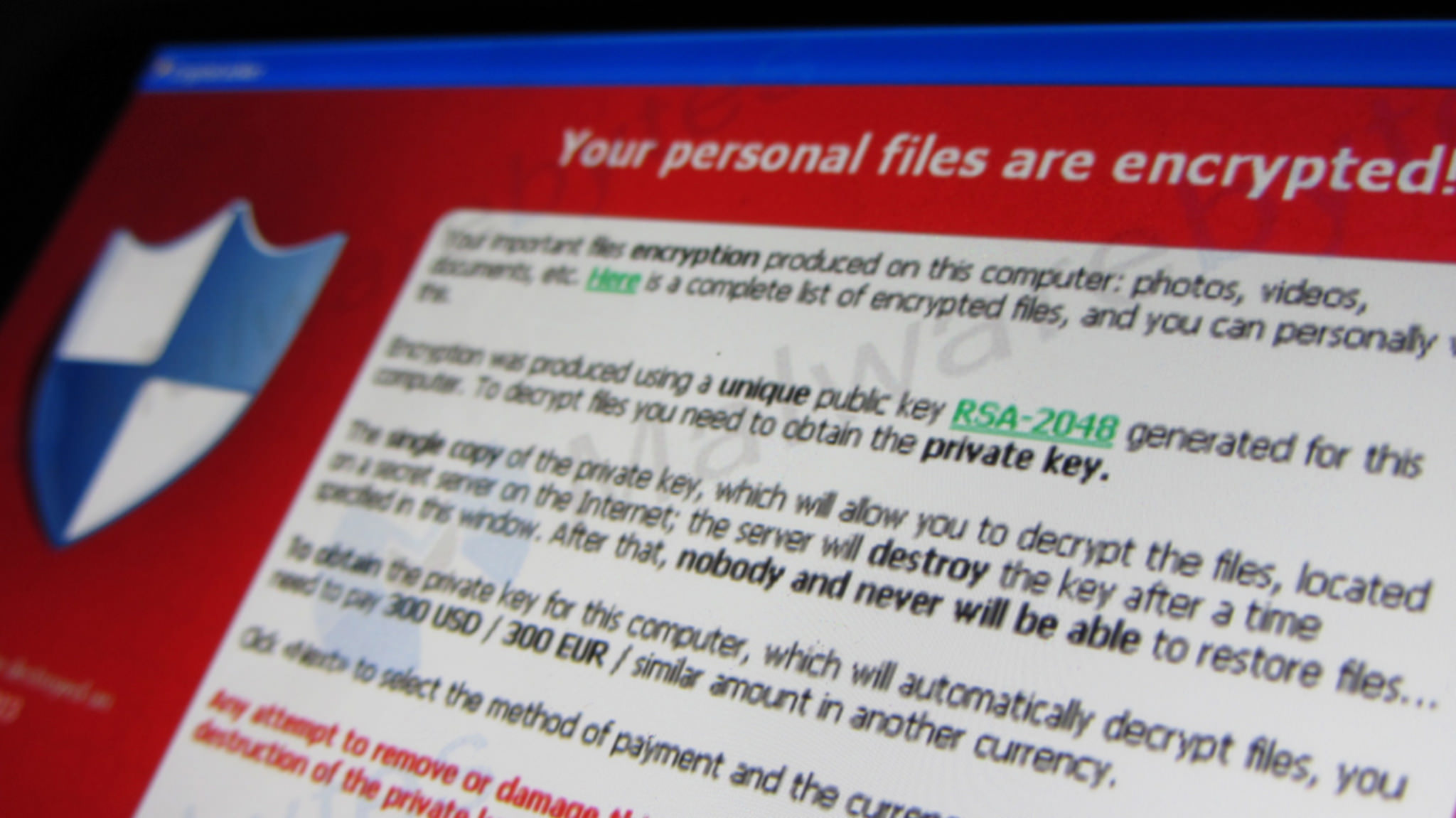 This message is displayed when an user is infected with the Cryptolocker ransomware. If the user doesn't pay the 'ransom' the user's files are gone. Screen of Cryptolocker via Malwarebytes.