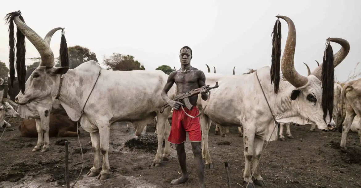 A Mundari man guards his Ankole-Watusi herd with a rifle in Nigeria's Zamfara state