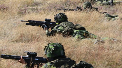 Sweden home guard soldiers