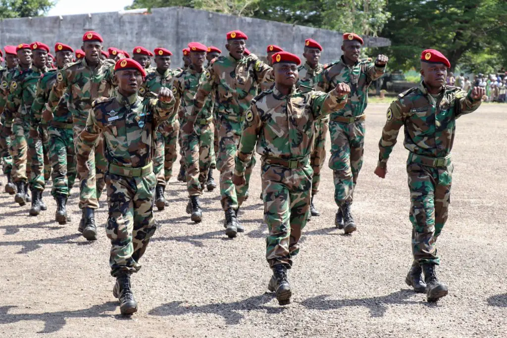 Central African Republic troops parade