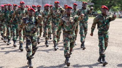 Central African Republic troops parade