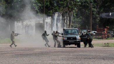 Central African Republic troops give a demonstration