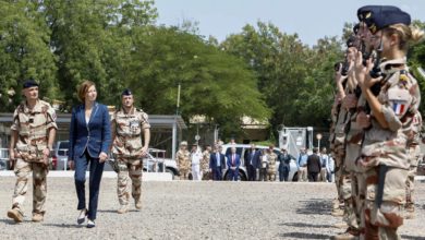 French armed forces minister Florence Parly in Chad