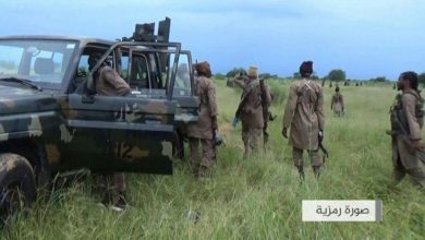 Islamic State West Africa Province militants