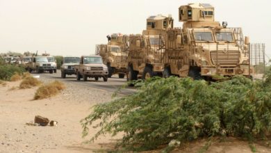 Pro-government fighters advance on Hodeidah, Yemen