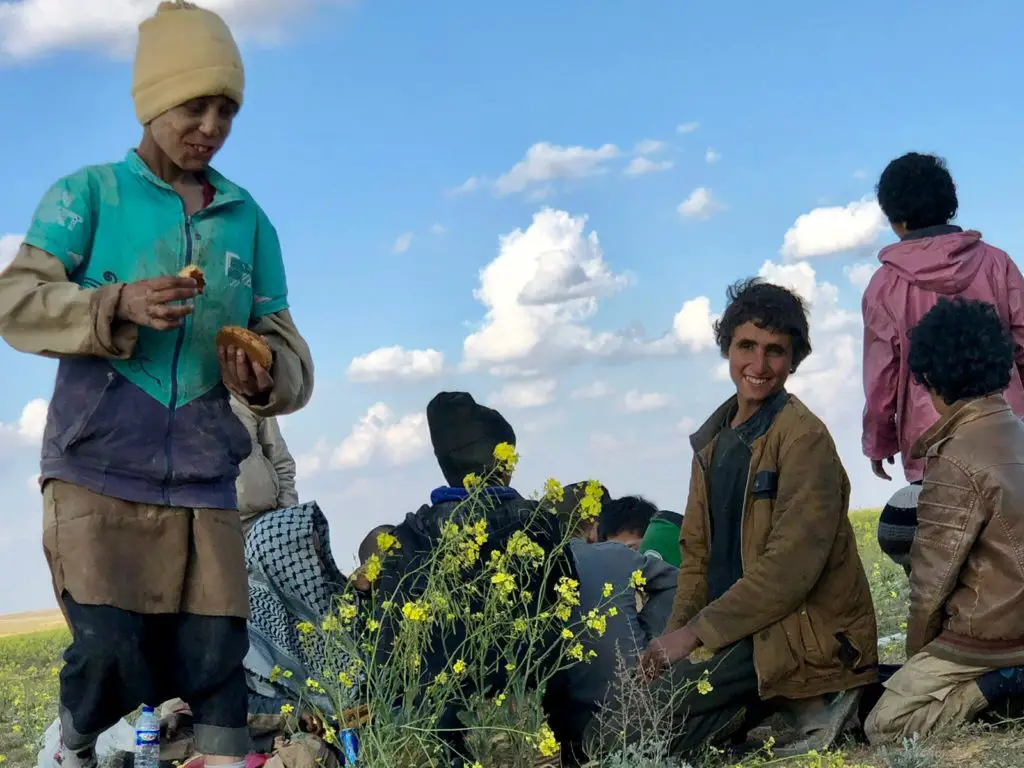 Yazidi children freed from ISIS captivity