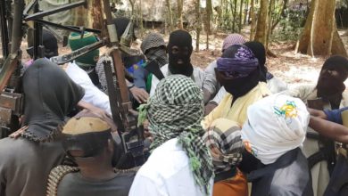 Islamic State Central Africa Province militants in DR Congo