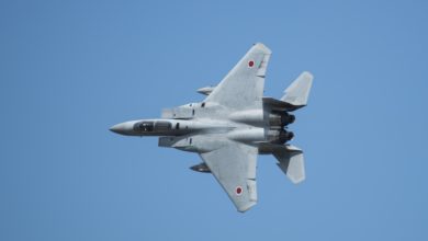 Japan Air Self-Defense Force F-15J