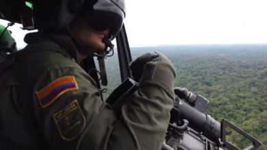 Colombian police raid a coca field in Tumaco, Colombia following the state's Defense Minister's statement that the military will step up an offensive against drug trafficking gangs responsible for clearing thousands of hectares of protected national parks for coca plantations