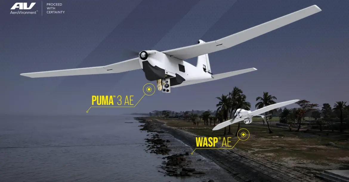 Puma and Wasp drones