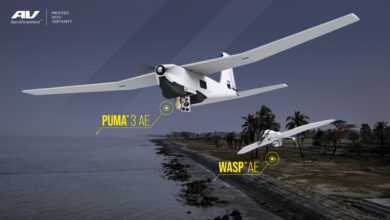 Puma and Wasp drones