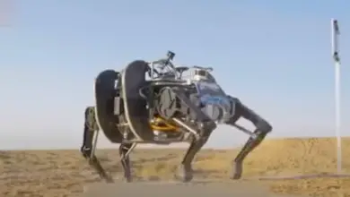 China's quadruped robot