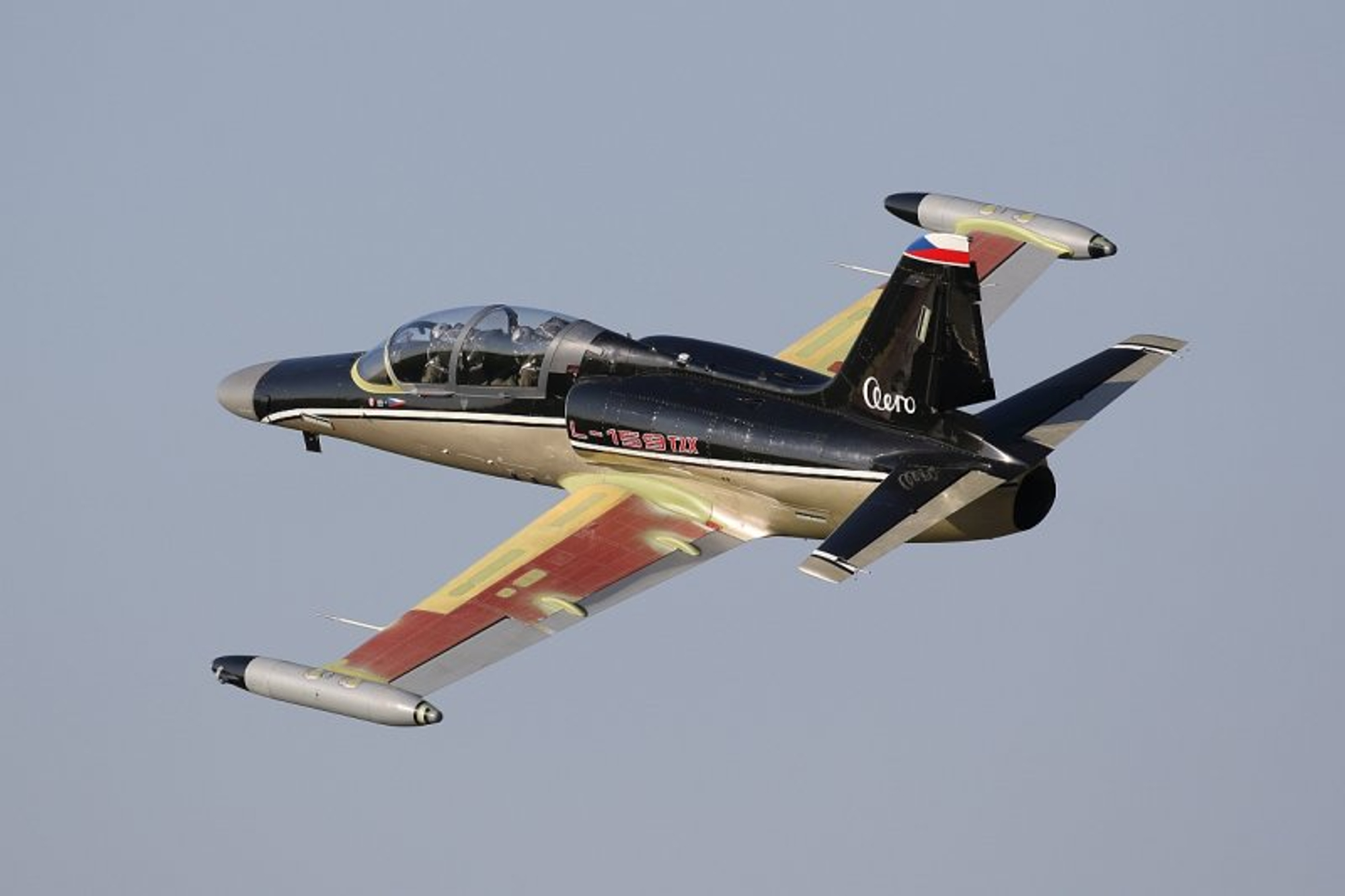 L-159 T2X combat trainer aircraft