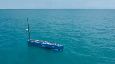 Bluebottle watercraft drone