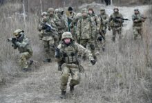 Ukraine's military reserve force