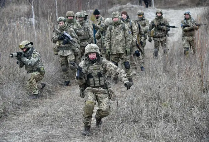 Ukraine's military reserve force