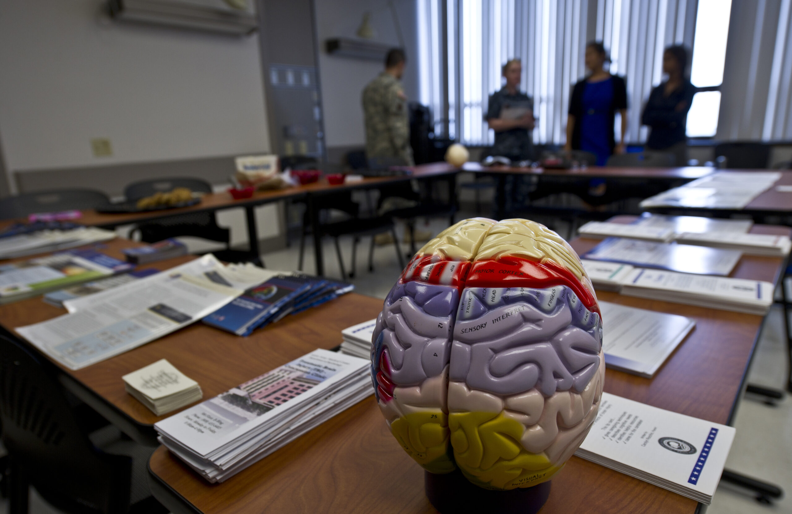 In an effort to help educate beneficiaries on what brain injury services and support are available, a Brain Injury Awareness Open House was held March 21, at Tripler Army Medical Center in Honolulu. The Pacific Regional Medical Command's Traumatic Brain Injury Program, is a comprehensive program which provides a continuum of integrated care and services for active duty service members and other beneficiaries with TBI. (Department of Defense photo by U.S. Air Force Tech. Sgt. Michael R. Holzworth/Released)