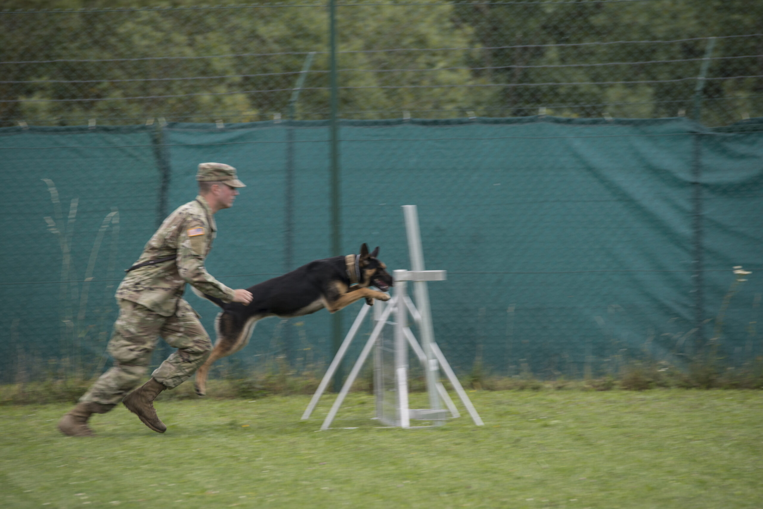 U.S. Army Pfc. Michael S. Martin with the 131st Military Working Dog Detachment, 615th Military Police Company, conducts dog-handler certification at Oberdachstetten Range Area at U.S. Army Garrison Ansbach in Bavaria, Germany, July 18, 2017. Military working dogs are trained to subdue or intimidate suspects before having to use lethal force; they are also used for detecting explosives, narcotics and other harmful materials. (U.S. Army photo by Visual Information Specialist Georgios Moumoulidis, TSC Ansbach)