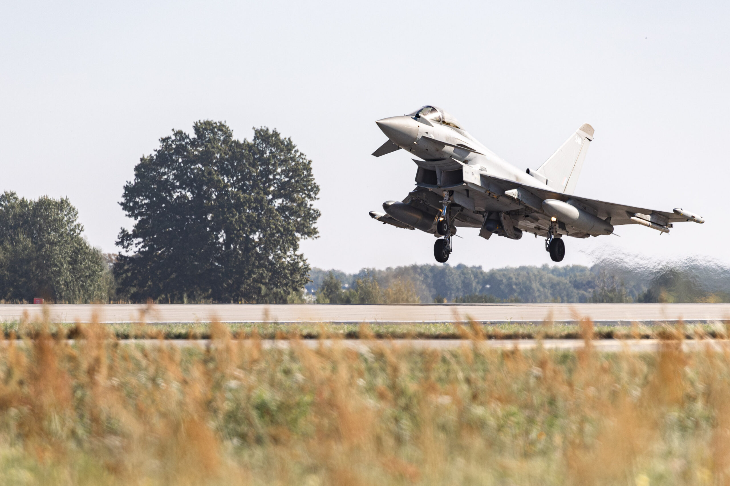 A UK Royal Air Force Lockheed Martin F-35 jet is seen taking off. A tree is on the left, serving as the background. A field of grass serves as the foreground, cut off from the background by what appears to be a concrete runway.