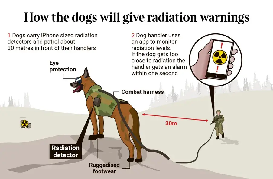 radiation detector